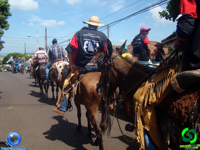 DSC01099.jpg
