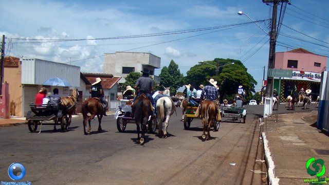 DSC01199.jpg