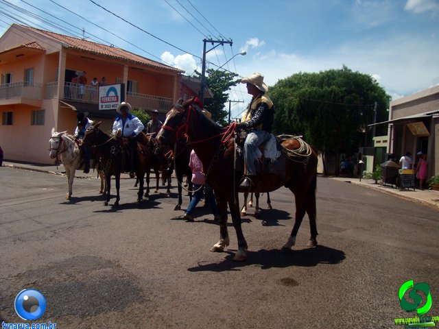 DSC01214.jpg
