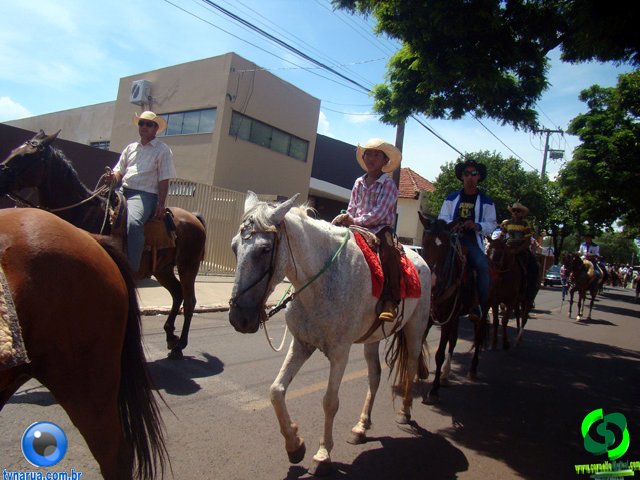 DSC01218.jpg