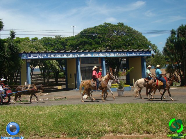 DSC01286.jpg