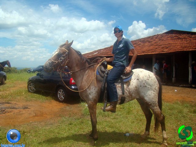 DSC01384.jpg