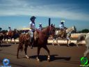 DSC00946.jpg