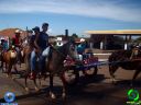 DSC00981.jpg