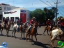 DSC01014.jpg