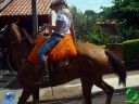 DSC01140.jpg