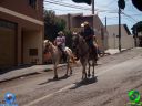 DSC01156.jpg