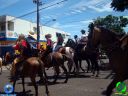 DSC01240.jpg