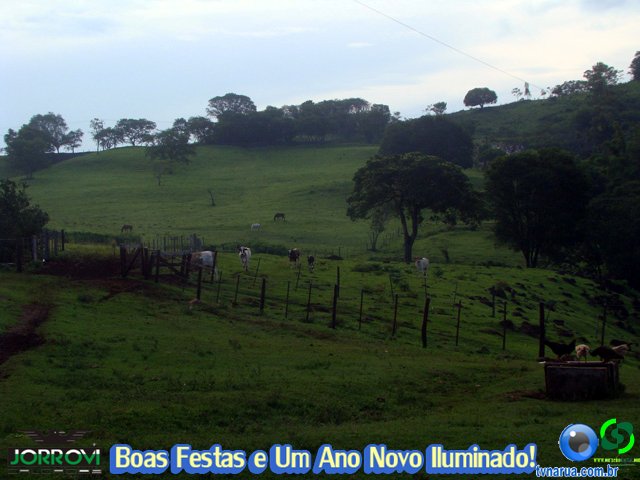 DSC08571.jpg