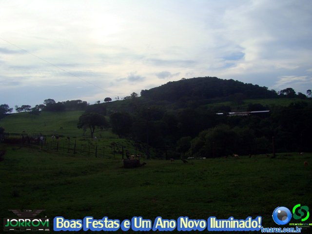 DSC08572.jpg