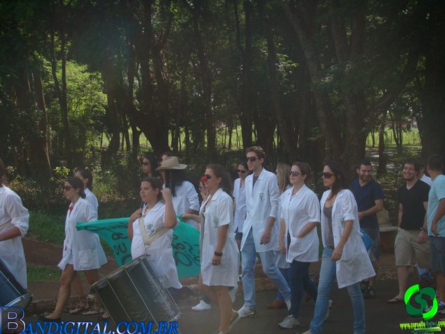DSC04788.jpg