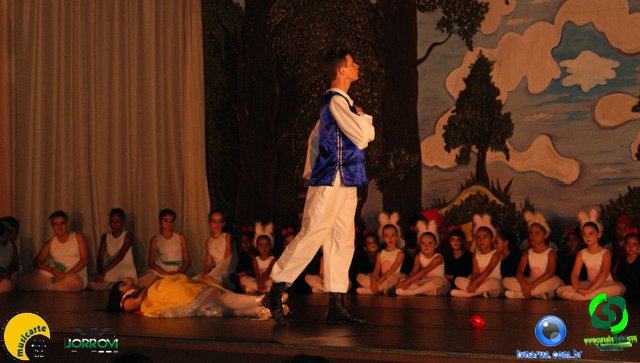 DSC01425.jpg