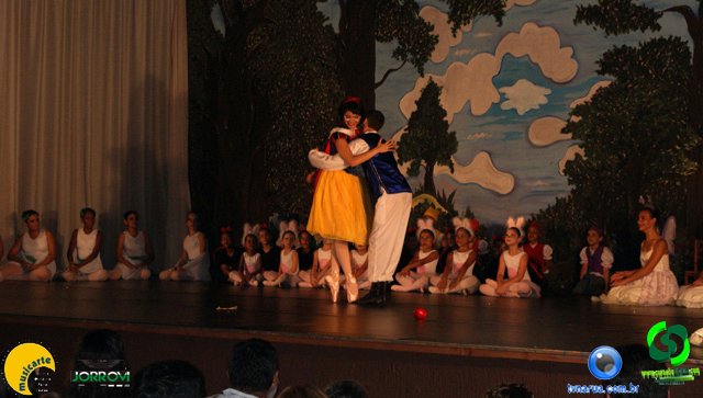 DSC01431.jpg