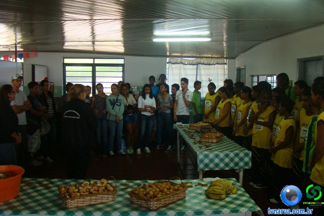 DSC02305.jpg
