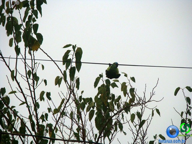 DSC02686.jpg