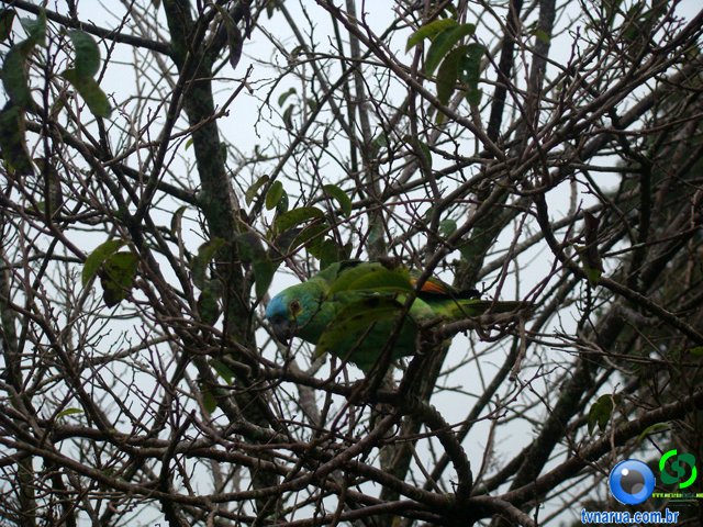 DSC02740.jpg