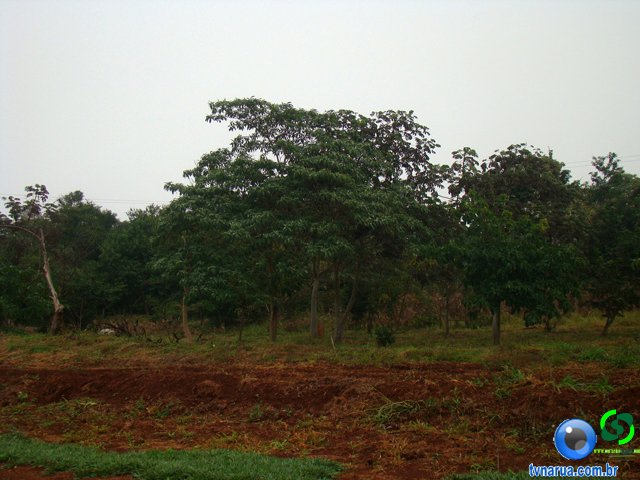 DSC02758.jpg