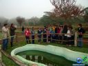 DSC02663.jpg