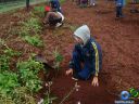 DSC02696.jpg