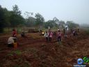 DSC02720.jpg