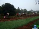 DSC02730.jpg