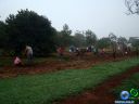DSC02732.jpg