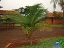DSC02760.jpg