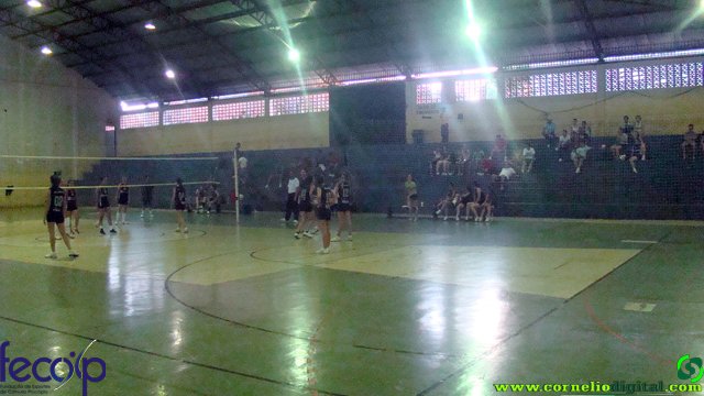 DSC06310.jpg