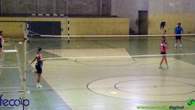 DSC06590.jpg