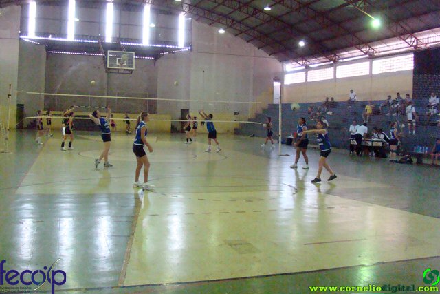 DSC06609.jpg