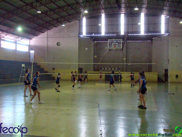 DSC06611.jpg