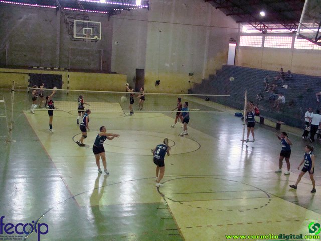 DSC06612.jpg