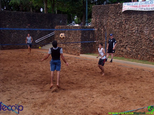DSC06667.jpg
