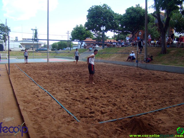 DSC06676.jpg