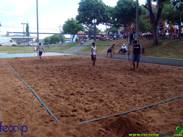 DSC06678.jpg