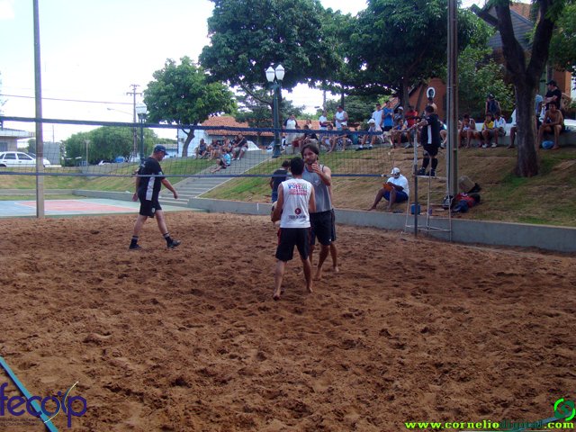 DSC06684.jpg