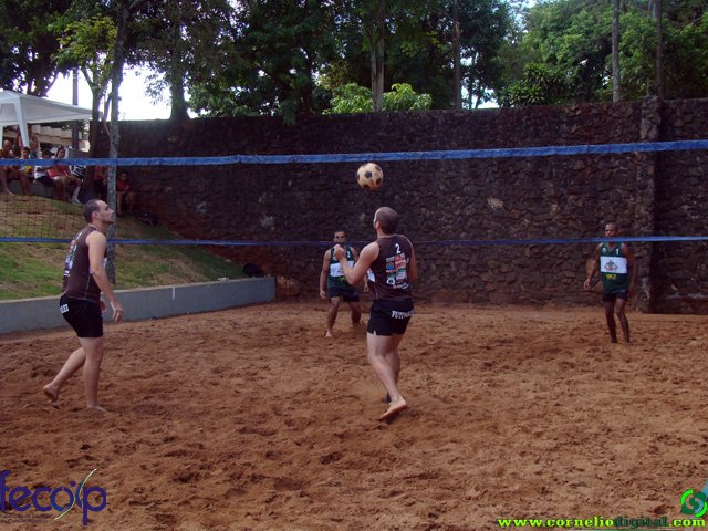 DSC06690.jpg