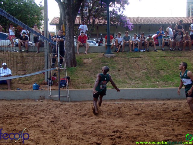 DSC06693.jpg
