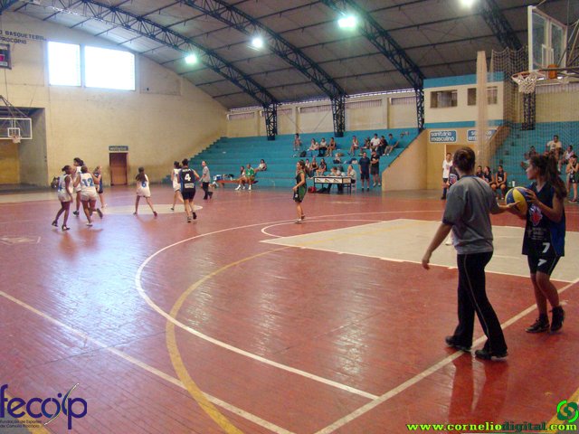 DSC06718.jpg