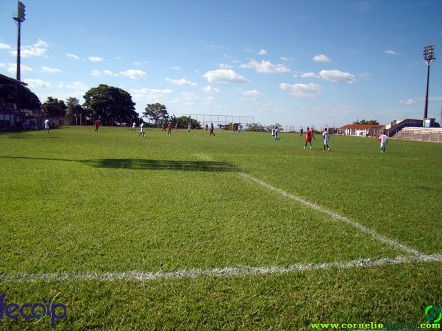 DSC06896.jpg