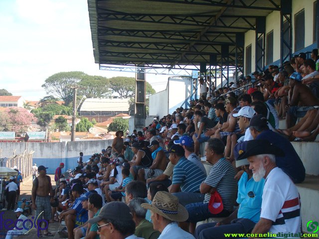 DSC06925.jpg