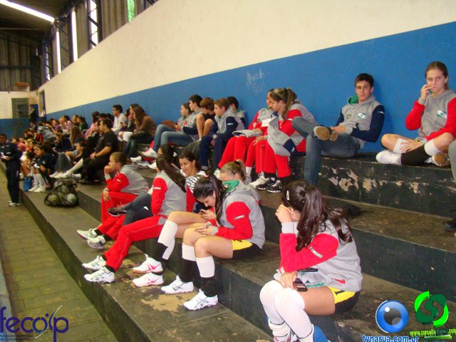 DSC00466.jpg