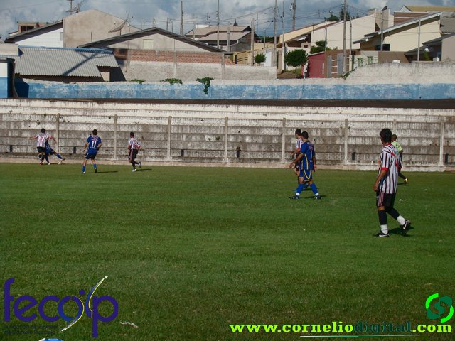 DSC03185.jpg