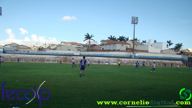 DSC03195.jpg