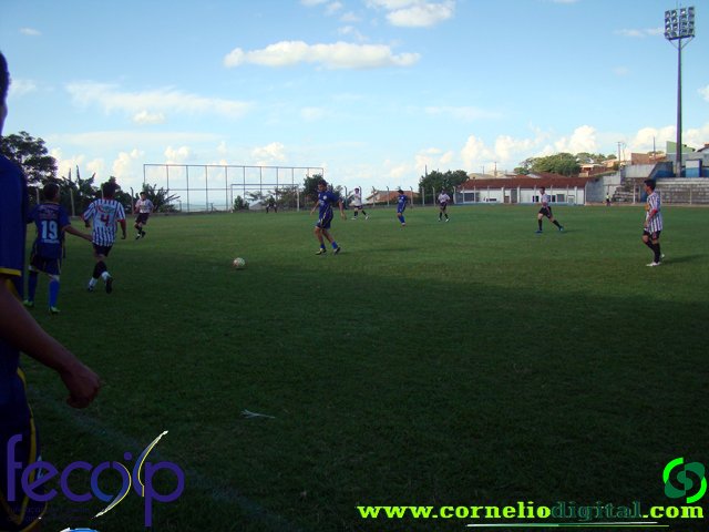 DSC03198.jpg