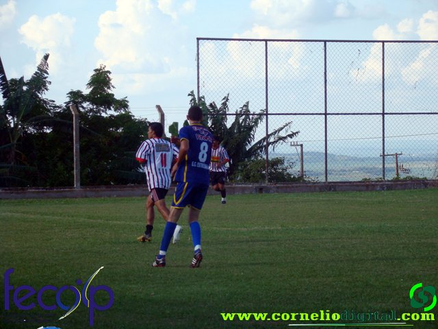 DSC03201.jpg