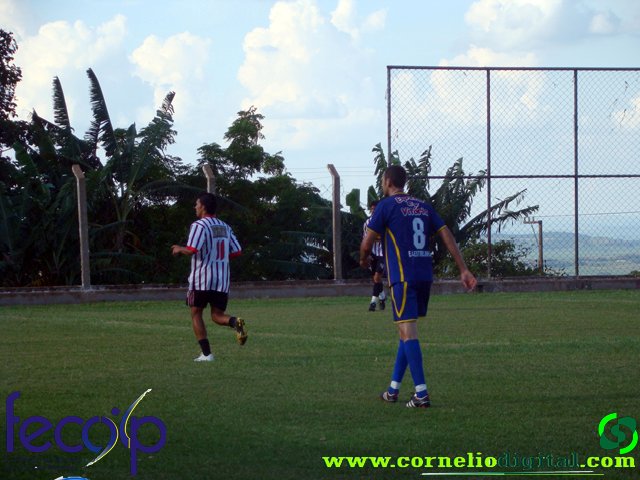 DSC03202.jpg