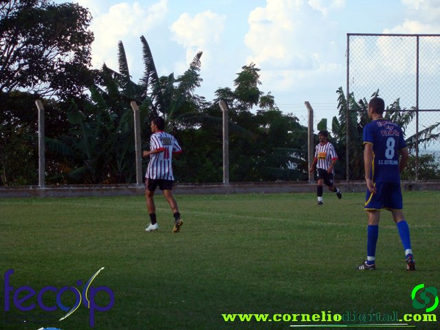 DSC03203.jpg