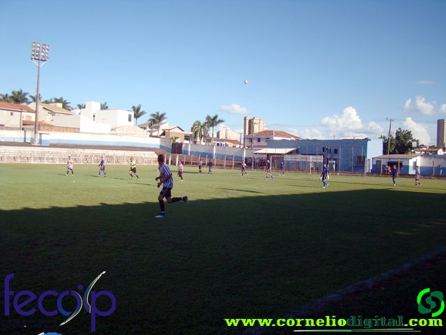 DSC03308.jpg