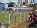 DSC03164.jpg